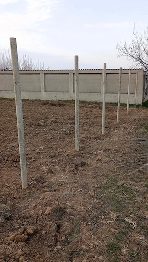 Teren de vânzare - Paleu, suprafață 2200 mp