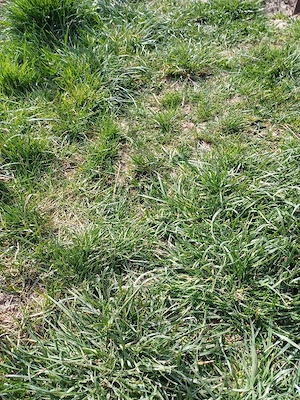 vand teren extravilan