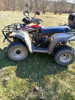 Linhai 300 - imagine 3