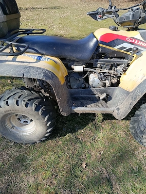 Linhai 300 - imagine 4