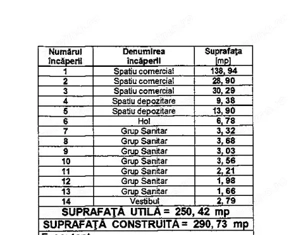 Spatiu comercial Titulescu Banu Manta 260 mp - imagine 9