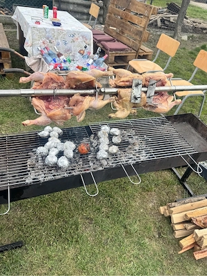 inchiriez protap rotisor  - imagine 3