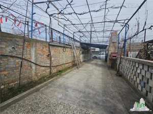 Casa 4 camere plus anexe zona gara Medgidia, Constanta - imagine 10