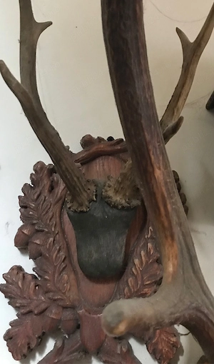 Trofeu Caprior cu ticna si panoplie