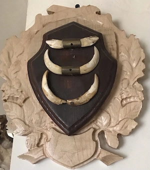 Dinti mistret cu panoplie 