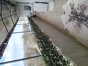 Inchirez apartament zona de sus - imagine 4