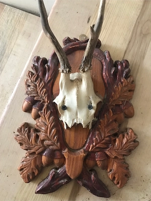 Caprior cu craniu si panoplie