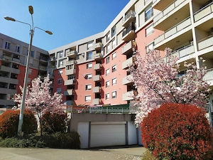 Apartament de inchiriat 2 camere, situat in zona Aradului - imagine 10