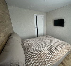 Apartament de 3 camere in zona Calea Calarasilor - imagine 4