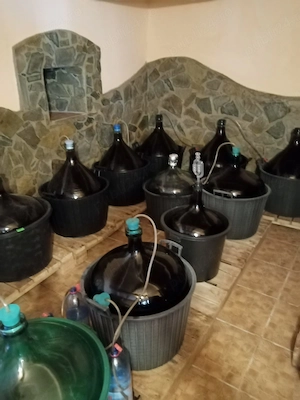 Vand vin rosu 2025 - 10 lei