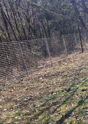 Stalpi,tarusi gard - imagine 4