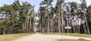 Săcele - Poiana Angelescu, teren intravilan langă pădure.