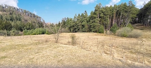 Săcele - Poiana Angelescu, teren intravilan langă pădure. - imagine 3