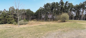 Săcele - Poiana Angelescu, teren intravilan langă pădure. - imagine 7