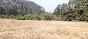 Săcele - Poiana Angelescu, teren intravilan langă pădure. - imagine 5