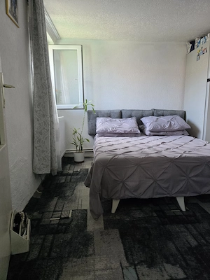 Casa la curte mobilata - imagine 2