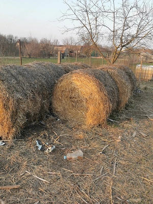 Vând baloti de paie!! 