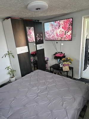 Casa la curte mobilata - imagine 9