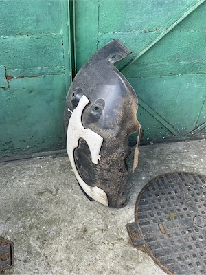 Scut si contra aripa Renault  - imagine 2