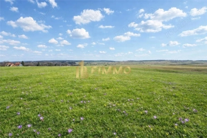 Teren langa padure | 32 ari | Dragomirna | ID:1688 - imagine 2