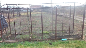 Cotarca porumb de vânzare 