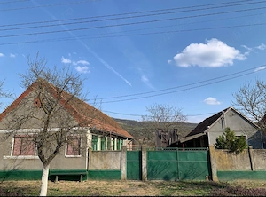 Casă de vânzare în Cuvin 