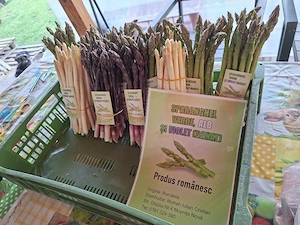 sparangel verde alb și violet  - imagine 2