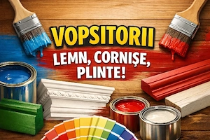 Vopsitorii profesionale pentru lemn și finisaje interioare   Brașov și împrejurimi