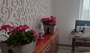 Apartament cu 3 camere de vanzare, etaj 2, - Micalaca - imagine 3
