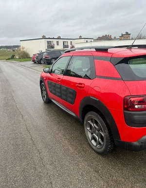 Citro n cactus c4  - imagine 3