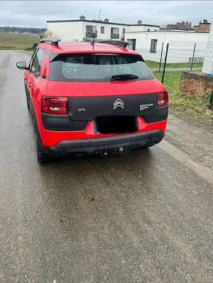 Citro n cactus c4  - imagine 4