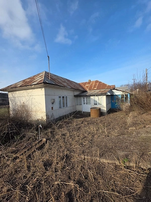 Teren intravilan 2.128 mp + casă bătrânească  Jijila, Tulcea - imagine 7
