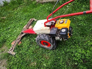 Vind cositoare elvețiană  - imagine 4