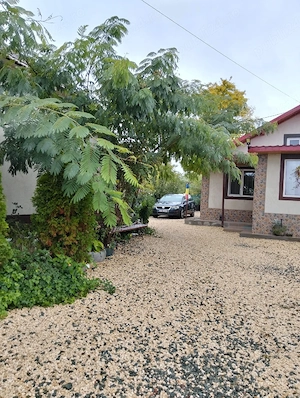 Se vinde casă în Țepeș Vodă judetul constanta  - imagine 5