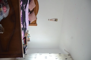 Busteni-Valea Alba-Casa de vanzare cu cinci camere - imagine 9