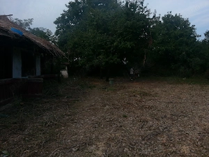 Teren intravilan Santu Floresti comuna Gruiu (Snagov) - imagine 2