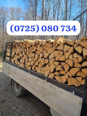 Lemne de foc calitate superioară de fag Crepat tăiat la metru 