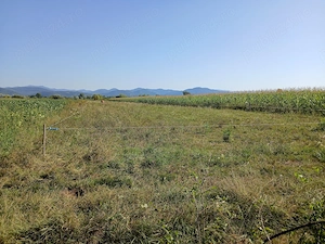 Teren cu proiect și autorizație de construcție 