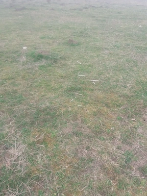 Teren intravilan, Cristian 1500mp