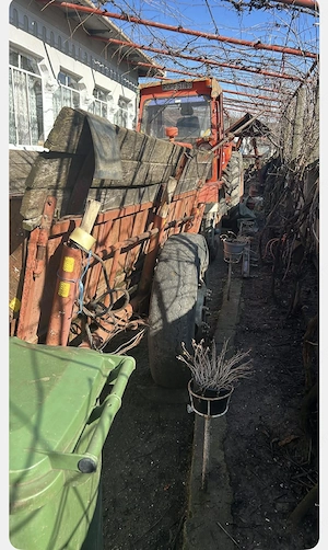 Plug cu trei brazde+ remorcă basculabila  - imagine 2