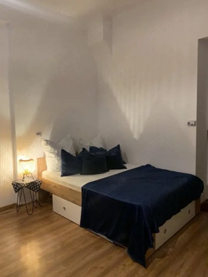 Ultracentral - Apartament 1 Cameră - 46 mp - Clădire Istorică - Investiție - imagine 3