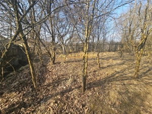 Teren 1000 mp si casa renovabila in Valcanesti . - imagine 9