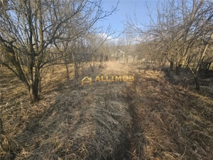 Teren 1000 mp si casa renovabila in Valcanesti . - imagine 4