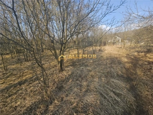 Teren 1000 mp si casa renovabila in Valcanesti . - imagine 5