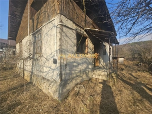 Teren 1000 mp si casa renovabila in Valcanesti . - imagine 3