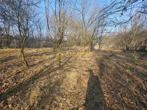 Teren 1000 mp si casa renovabila in Valcanesti . - imagine 8