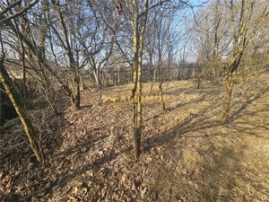 Teren 1000 mp si casa renovabila in Valcanesti . - imagine 7