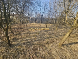 Teren 1000 mp si casa renovabila in Valcanesti . - imagine 6