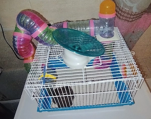 cusca hamster completa cu 2 roti si fan si mancare 