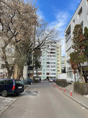 Vând magazin in mănăștur Aleea Vidraru  - imagine 10